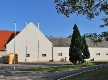 Tocht Te voet Gemeinde Hornstein - Leitharunde - Photo