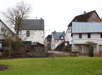 Randonnée A pied Brohl - Eifelhöhen und Brohlbachtal - Photo