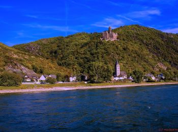 Tour Zu Fuß Sankt Goarshausen - Rheinsteig-Zuweg Nochem - Photo