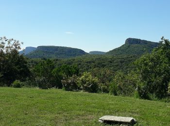 Tocht Stappen Navacelles - Château d'Allegre / Aiguières  - Photo