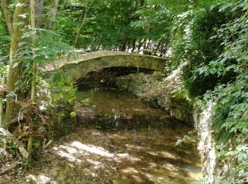 Percorso Marcia Waldbillig - Mullerthal randonnée magnifique - Photo