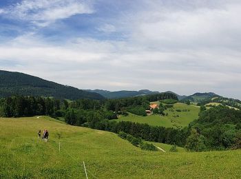 Tour Zu Fuß Oberbuchsiten - Tiefmatt - Roggenflue - Photo