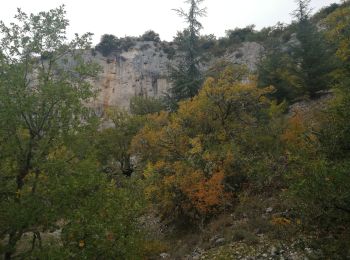 Randonnée Marche Monieux - le vallon du loup - Photo