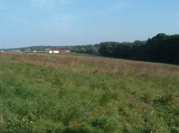 Tocht Te voet Harbke - Lappwald Rundwanderweg 27 - Photo