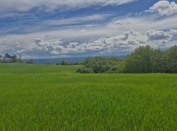 Tour Wandern Puy-Saint-Martin - Puy-Saint-Martin Le Baron 10km. - Photo