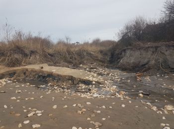 Tour Wandern Le Grand-Village-Plage - grand village - Photo