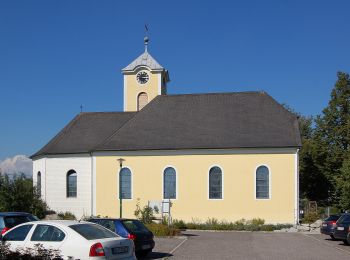 Tour Zu Fuß Herzogsdorf - Hofing-Runde - Photo