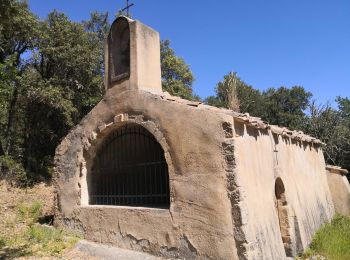 Tour Wandern Valensole - Ravin de la forge et chapelle de la ste Trinité  - Photo