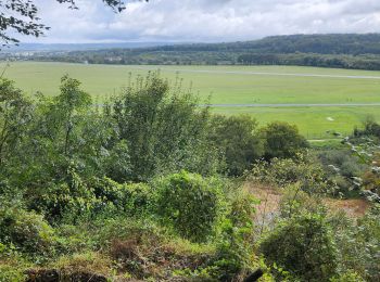 Excursión Marcha nórdica Courcelles-lès-Montbéliard - randonnée du lion 2024 - Photo