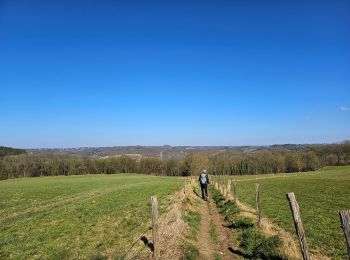 Excursión Senderismo Chaudfontaine - Le Grand Tour de Chaudfontaine  - Photo