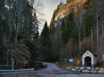 Tocht Te voet Sankt Lorenzen im Mürztal - Wanderweg - Photo