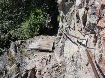 Randonnée Marche Le Valtin - Col de la Schlucht - sentier des Roches - Petit Honneck - Honneck - Trois Fours - Photo