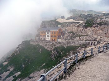 Percorso A piedi Valli del Pasubio - Val Canale - Photo