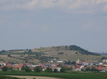 Tour Zu Fuß Gemeinde Mannersdorf am Leithagebirge - Mannersdorf - Breitenbrunn - Photo