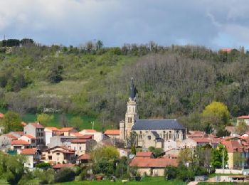 Tocht Stappen Teilhède - Teilhede_Puy_Grammont - Photo