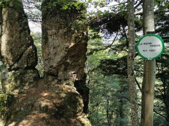 Trail Walking Auxelles-Bas - planche des belles filles depuis auxelles haut  - Photo