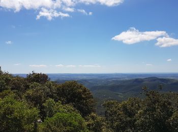 Excursión Marcha nórdica Clermont-l'Hérault - Salagou Mont Liausson - Photo