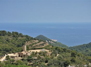 Trail On foot Begur - SL-C 23 reserva marina de Ses Negres - Photo