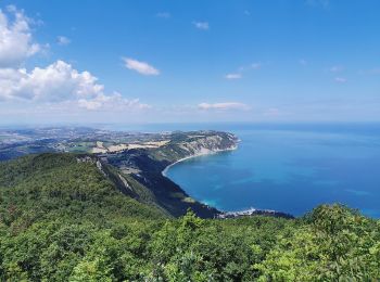 Tocht Te voet Ancona - Cammino Porta d'Oriente - Photo