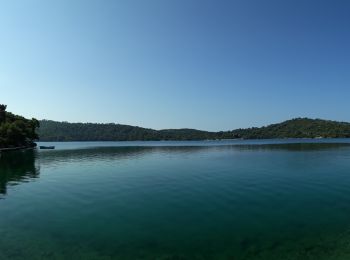 Percorso Motoscafo  - Parc National MLJET 01/08/18 - Photo