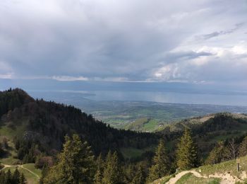 Randonnée Marche Lullin - Le Mont Forchat au départ du col des Arses - Photo