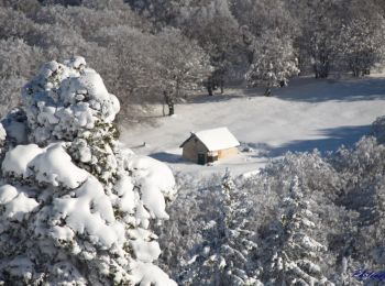 Tour Schneeschuhwandern Saint-Agnan-en-Vercors - Beure - Écondus - Photo