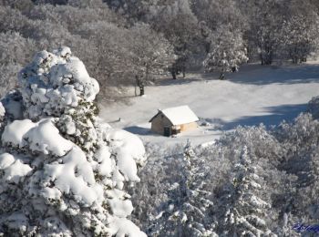 Tocht Sneeuwschoenen Saint-Agnan-en-Vercors - Beure - Écondus - Photo