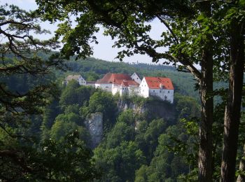 Excursión A pie Gomadingen - Kleine Donautraufrunde - Photo