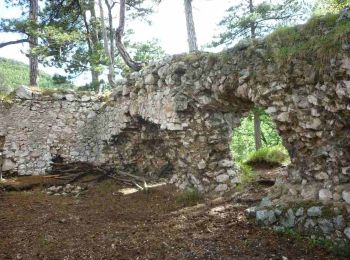 Trail On foot Gemeinde Schrattenbach - tut gut Route 4: Grablinger Tour - Photo