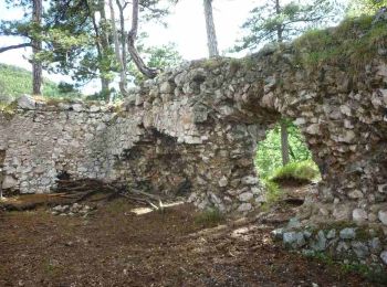 Randonnée A pied Gemeinde Schrattenbach - tut gut Route 4: Grablinger Tour - Photo