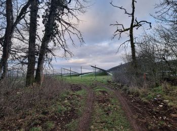 Randonnée Marche Vouthon-Haut - vers les photovoltaïques  - Photo