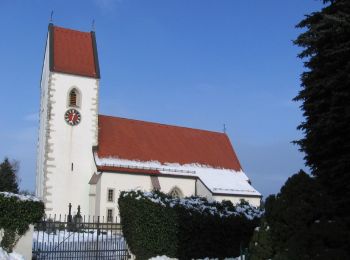 Tocht Te voet Pasching - Pasching Süd - Photo