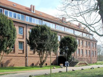 Tocht Te voet Kloster Lehnin - Rundwanderweg Klostersee - Photo