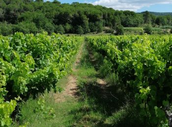 Randonnée Vélo de route Goudargues - boucle Goudargues-Frigoulet-Cornillon  - Photo