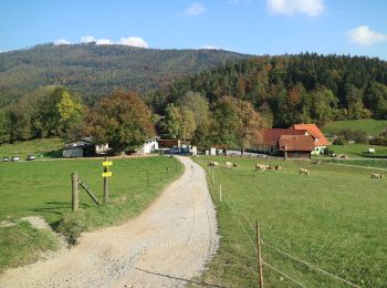 Tocht Te voet Gratkorn - Wanderweg 8 - Photo