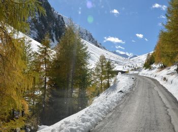 Tocht Te voet Val Müstair - Blockhaus - Alp Prasüra - Sella da Piz Cotschen - Photo