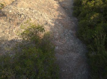 Trail Climbing Saint-Antonin-sur-Bayon - Voie des Moussaillons puis Arête sud intégrale de la croix depuis le parking de plan d'anchois  - Photo