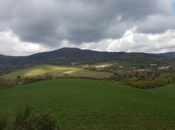 Randonnée Marche Octon - Château d'Octon - Photo