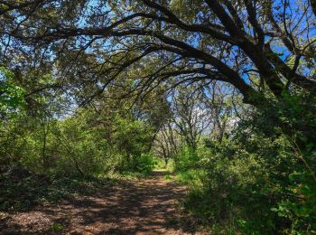 Randonnée Marche Montboucher-sur-Jabron - Montboucher-Bois de Lion 10km - Photo