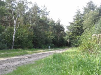 Trail On foot Rijssen-Holten - WNW Twente - De Keizer - rode route - Photo