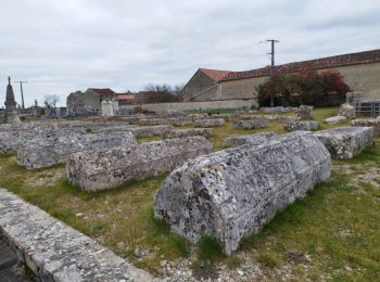 Tocht Stappen Ligné - La balade de Ligné - Photo