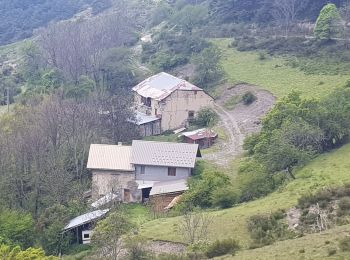 Randonnée Marche Pontis - Tour du Morgornnet  - Photo