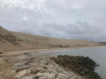 Trail Walking La Teste-de-Buch - Dune du Pyla - Photo