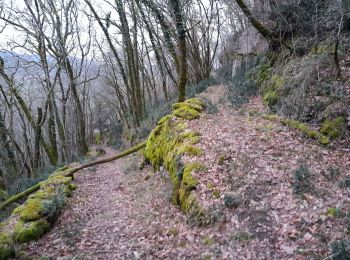 Excursión Senderismo Floirac - le caillon cirque de foirac  - Photo