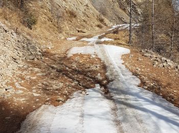 Randonnée Ski de randonnée Le Lauzet-Ubaye - Pic de Savernes - Photo