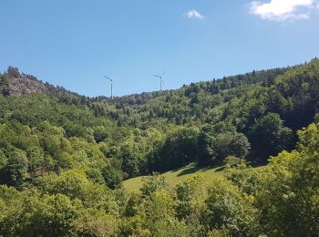 Randonnée Marche Borée - monts d'Ardèche 4 - Photo