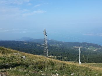 Randonnée A pied Ferrara di Monte Baldo - Sentiero Lino Ottaviani - Photo