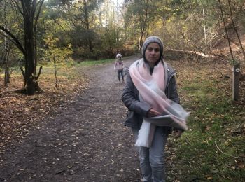 Tour Wandern Maasmechelen - Madame chelem à trois  - Photo