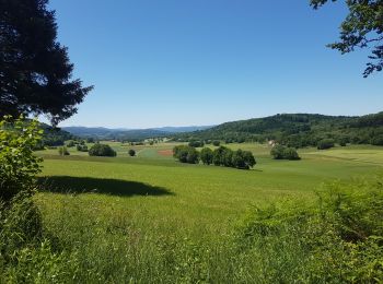 Trail Mountain bike Pont-de-Poitte - poitte écrille poitte - Photo