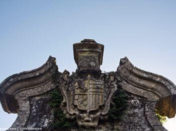 Randonnée A pied Aboim da Nóbrega e Gondomar - Trilho de Terras da Nóbrega - Photo